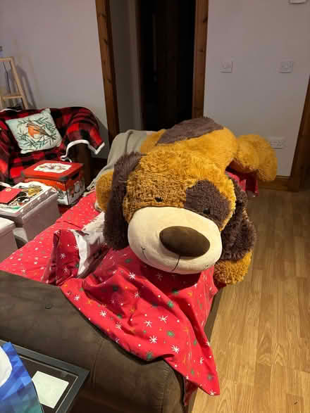 Photo of free Large Plush Dog (Rothney AB52) #1