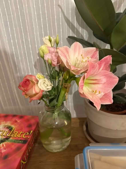Photo of free Beautiful flowers (no vase) (Bethnal Green E2) #2