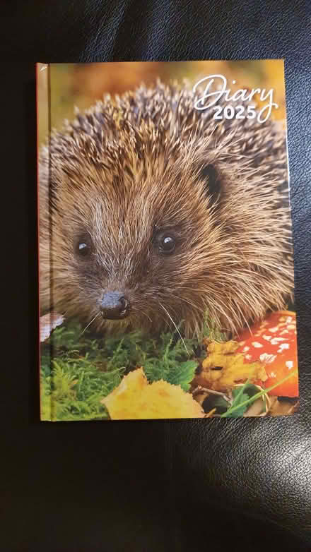Photo of free 2025 diary (Blackbird Leys OX4) #1