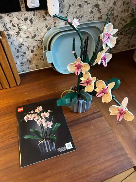 Photo of free Lego Orchid (SE17) #1