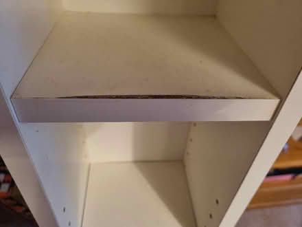 Photo of free Tall narrow white shelf (Barnard's Green WR14) #2