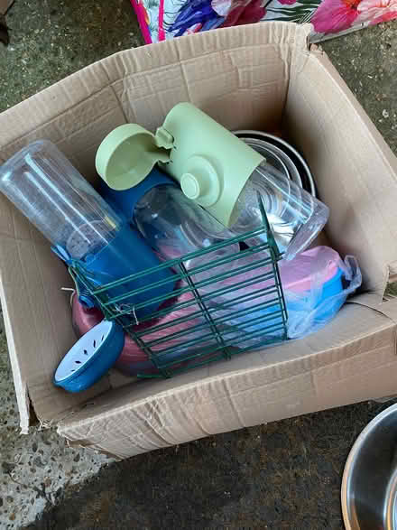 Photo of free Small animal bits (Stone Cross BN23) #1