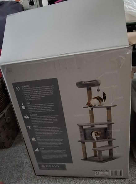 Photo of free Boxes for moving (Mansfield NG19) #3