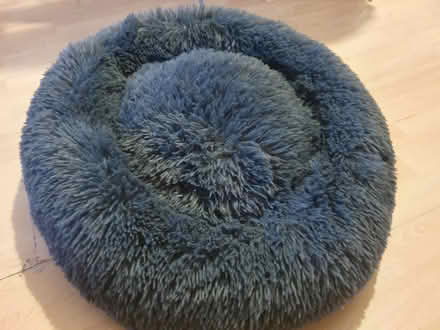 Photo of free Fluffy cat bed (Manor Road N17) #1