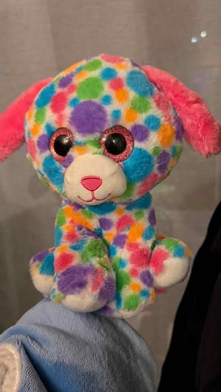 Photo of free Teddy (Cheshunt) #1
