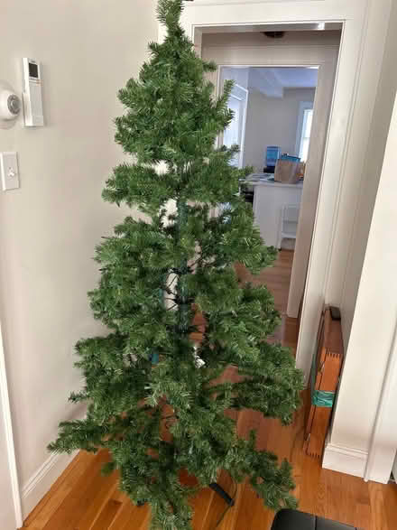 Photo of free 6’ artificial Christmas tree (Belmont) #1