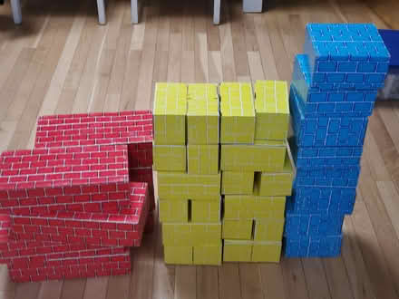 Photo of free Cardboard building bricks (Woodridge) #1