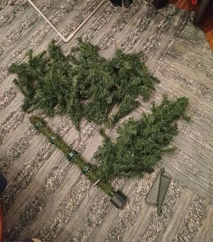 Photo of free Small Xmas tree (Crystal Palace) #1