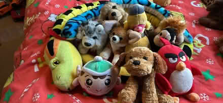Photo of free Soft toys (Ip33) #3