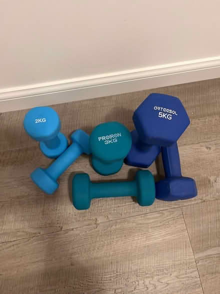 Photo of free Hand dumbbells (Cambusbarron FK7) #1
