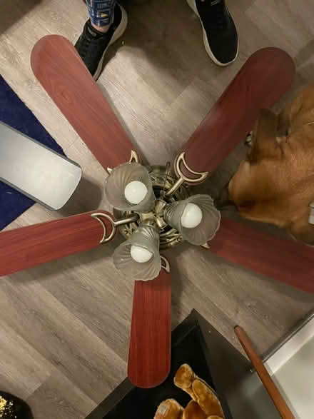 Photo of free 40” Ceiling fan (Elkridge) #1