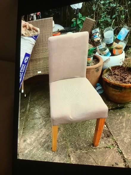 Photo of free Two dining chairs (Thornton heath) #1