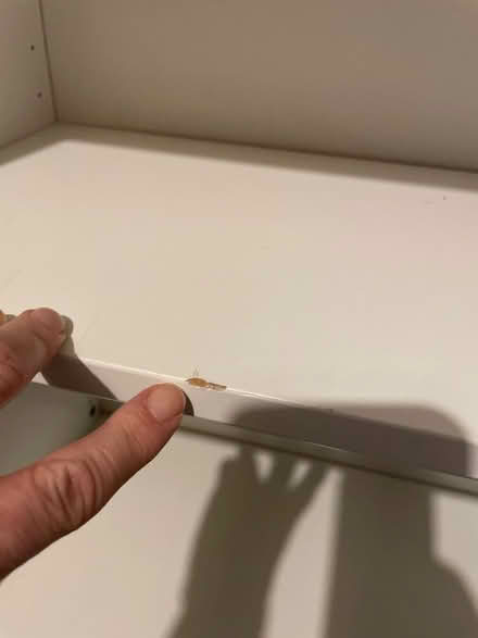 Photo of free Children’s Bedroom Cupboards: IKEA (Wivenhoe CO7) #3