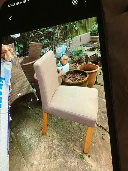 Photo of free Two dining chairs (Thornton heath) #2