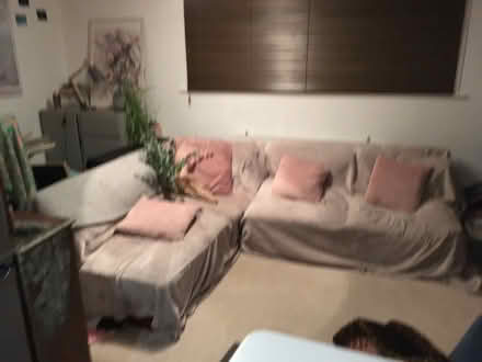 Photo of free Three pink cushions (Berrylands KT5) #1