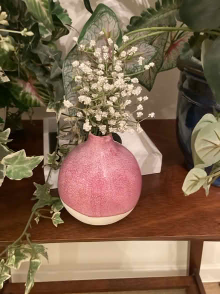 Photo of free Fake plants and pots (East Hollywood) #2