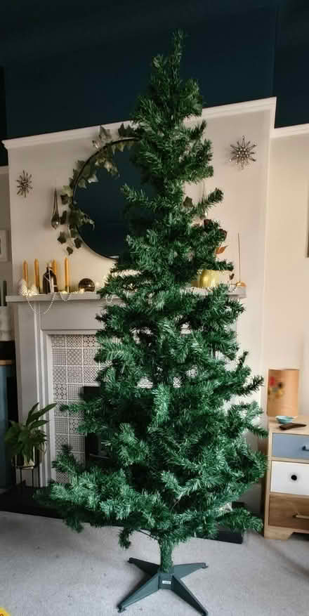 Photo of free Artificial tree 190 cm (Beeston, NG9) #1