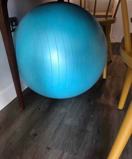 Photo of free Swiss / Exercise ball (Hertford EN11) #1