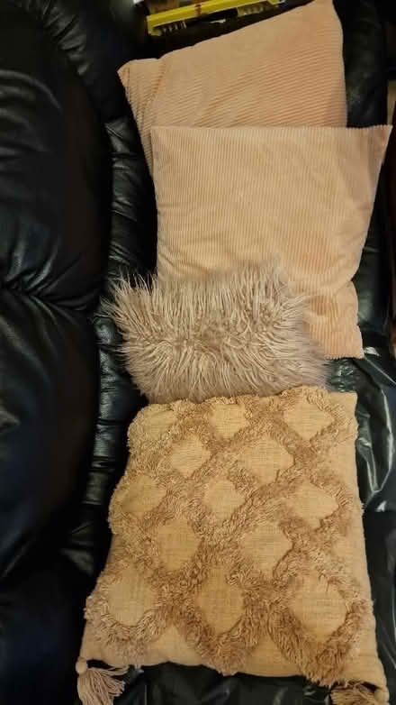 Photo of free Cushions (Broughton Park M8) #1