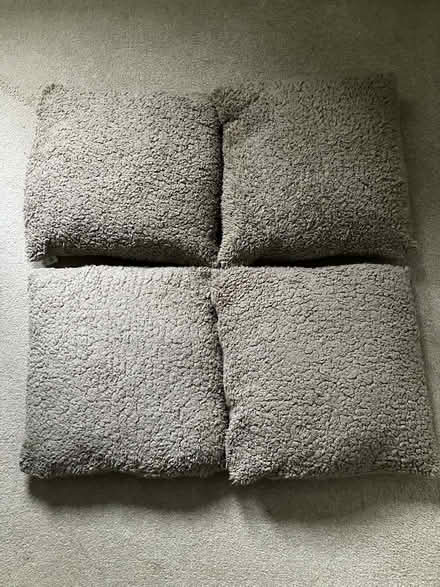 Photo of free Dunelm ‘Teddy Fleece’ cushions x 4 (Appleby-in-Westmorland CA16) #1