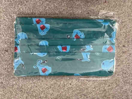 Photo of free Pokemon face masks (Chineham) #1