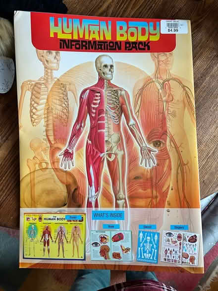 Photo of free Human Body Information Kit (Elmvale Acres) #1
