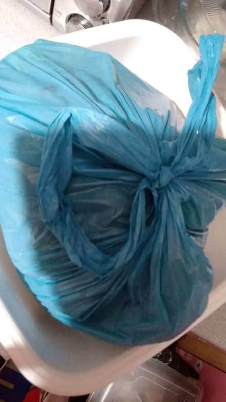 Photo of free big bag of spring onions (Lewisham SE13) #2