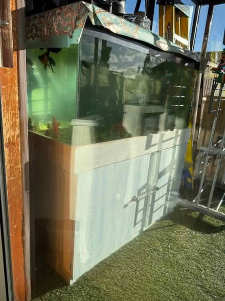 Photo of free Aquarium big (UB5) #1