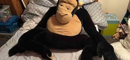 Photo of free Large monkey soft toy (Ip33) #1