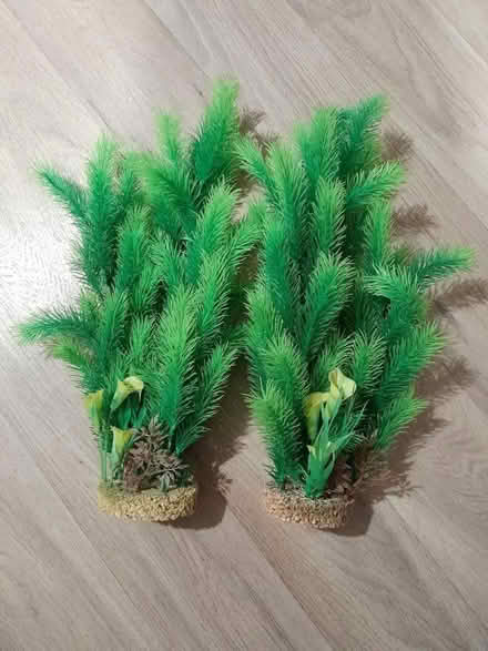 Photo of free Fish tank fake plants (Hassocks) #1