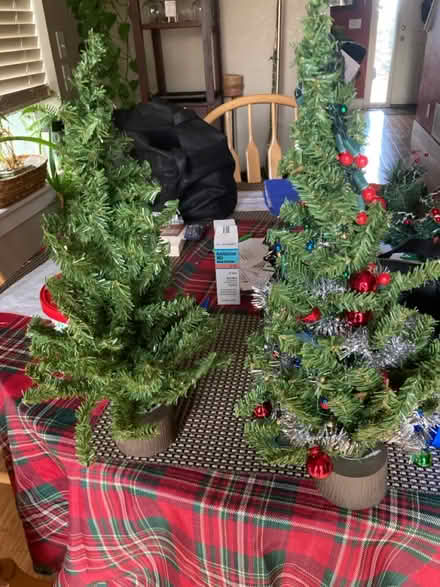 Photo of free Two table-top Christmas trees (E. Loveland near I-25) #1