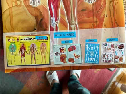 Photo of free Human Body Information Kit (Elmvale Acres) #2