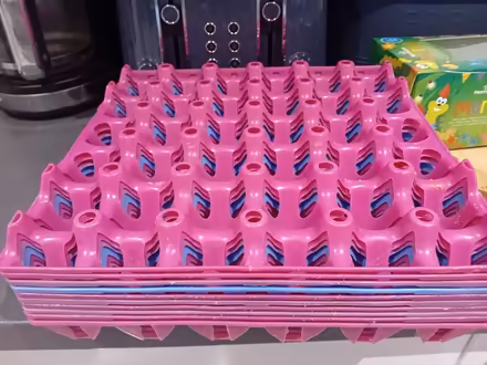 Photo of free Plastic egg trays x 10 (Gobowen SY10) #1