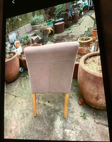 Photo of free Two dining chairs (Thornton heath) #3