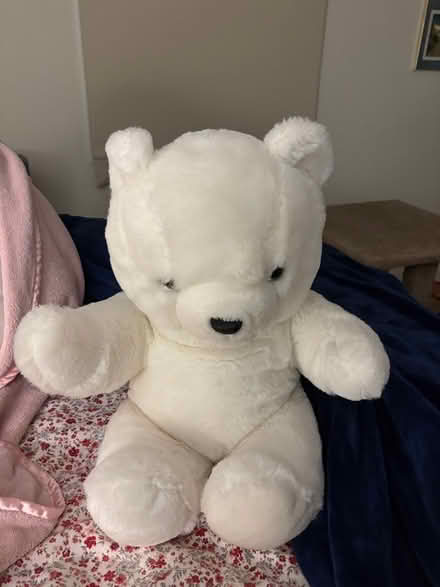 Photo of free Stuffed bear (Sylvania) #1