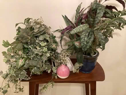 Photo of free Fake plants and pots (East Hollywood) #1