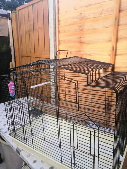 Photo of free Birds cage (Perivale UB6) #1