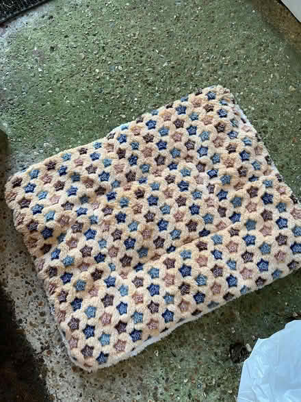Photo of free Small animal bits (Stone Cross BN23) #3