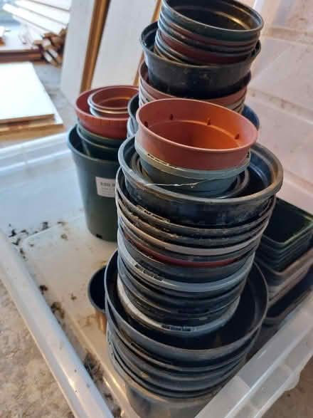 Photo of free Plastic flower pots (Worcester Park KT4) #1