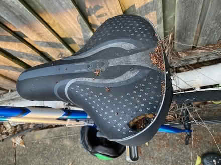 Photo of free Bicycle (Lane Cove north) #4
