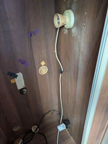 Photo of free 4 foot vivarium (LU7) #3