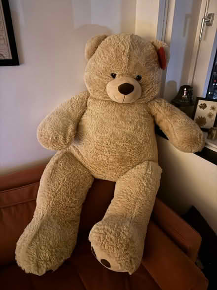Photo of free Giant teddy (Edgware Road, W2 1NF) #1