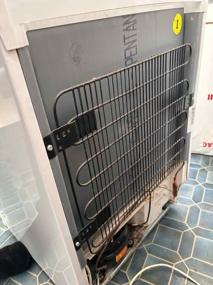 Photo of free Under-counter fridge (Penge BR3) #4