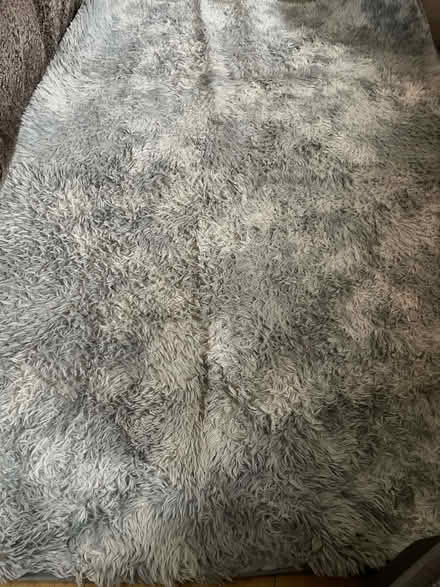 Photo of free Grey rug (Leigh on sea SS9) #1