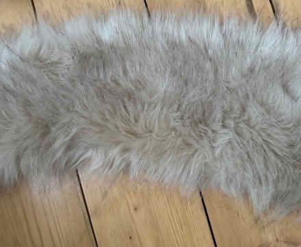 Photo of free Fur wraps (SE4) #2