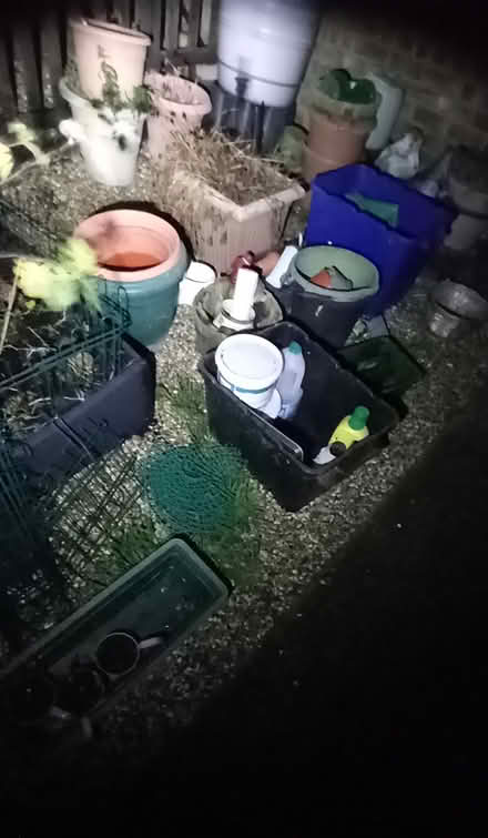 Photo of free Garden stuff (SG6) #2