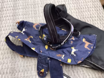 Photo of free Dog harness and coats (Wellington) #1