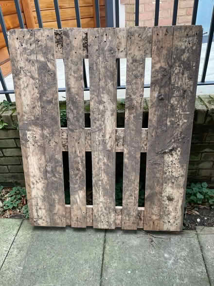 Photo of free Wooden pallet (Wimbledon Village) #1