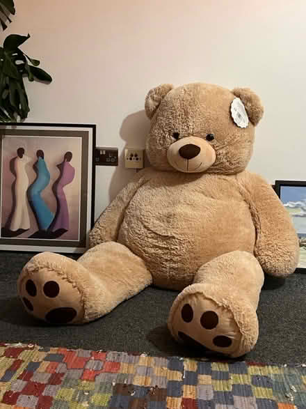 Photo of free Giant teddy (Edgware Road, W2 1NF) #2