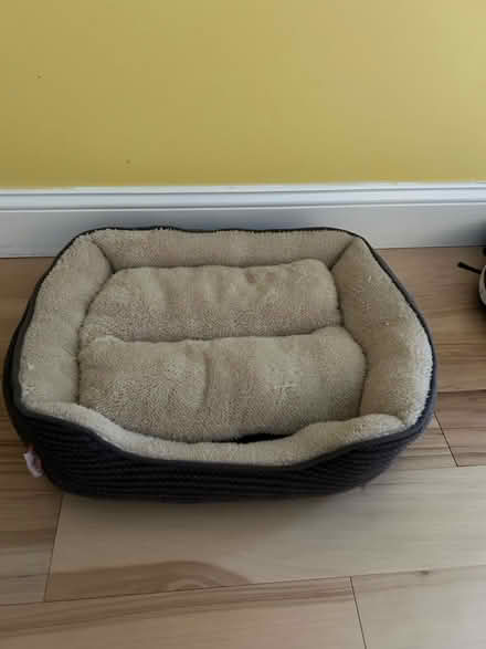 Photo of free Cat bed (Douglassville (Yellow House)) #1